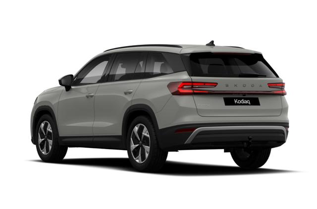 Kodiaq Selection Selec AHK Matrix Nav Kessy ACC SunS SHZ 