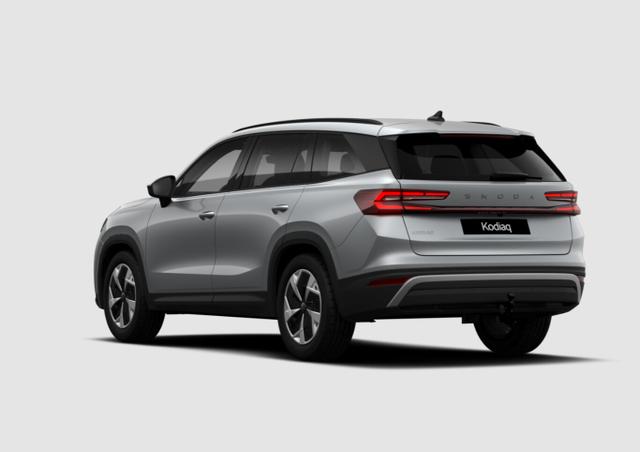 Kodiaq Selection Selec AHK Matrix Nav Kessy ACC SunS SHZ 