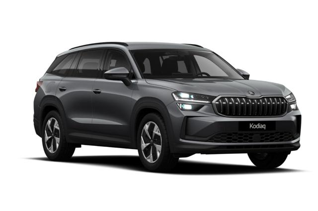 Skoda Kodiaq - Selection Selec AHK Matrix Nav Kessy ACC SunS SHZ