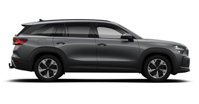 Kodiaq Selection Selec AHK Matrix Nav Kessy ACC SunS SHZ 