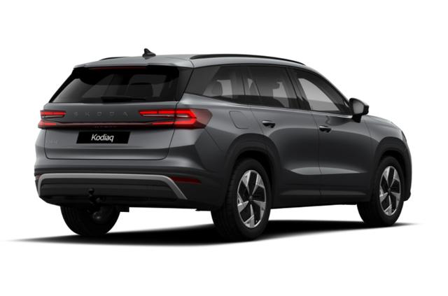 Kodiaq Selection Selec AHK Matrix Nav Kessy ACC SunS SHZ 
