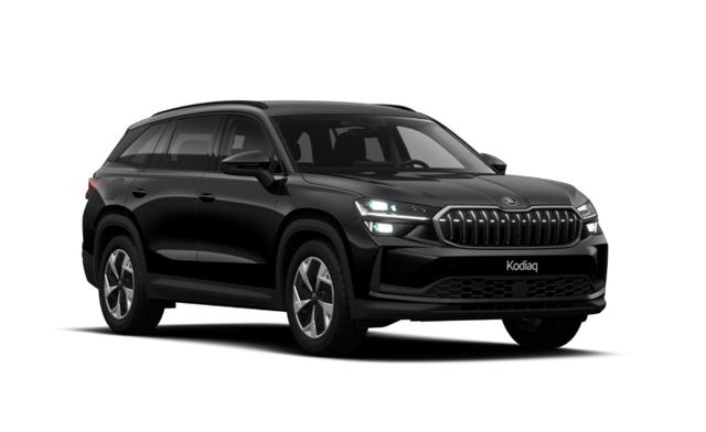 Kodiaq Selection Selec AHK Matrix Nav Kessy ACC SunS SHZ 