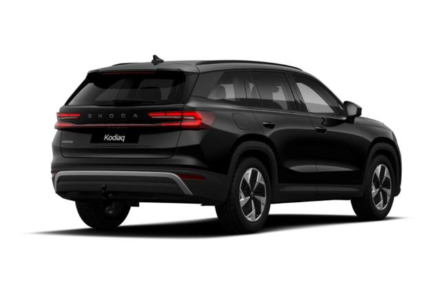 Kodiaq Selection Selec AHK Matrix Nav Kessy ACC SunS SHZ 