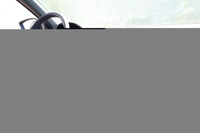 Skoda Karoq Sportline DSG Sportl Pano AHK Matrix Nav 360 Canton 