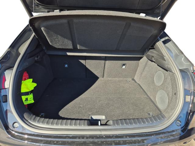 Kia XCeed Platinum 1.6 CRDI 136 DCT Pano Leder ACC 