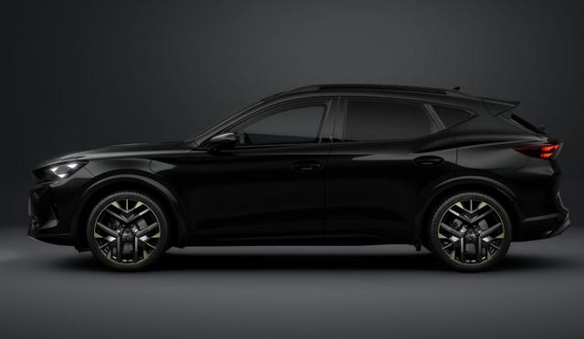 Cupra Formentor Tribe Edition e-HYBRID 19" Kam eHk Am 