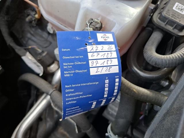 Volkswagen Golf Style VIII 1.5 eTSI 150 DSG Nav ergoA SHZ 