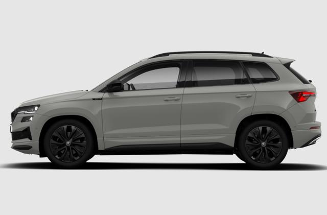 Skoda Karoq Sportline Sportl Matrix Nav 360 Canton ACC SideA SHZ 