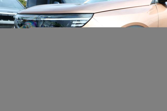 Opel Grandland X Hybrid TechP Nav ACC Keyl Klimaaut 