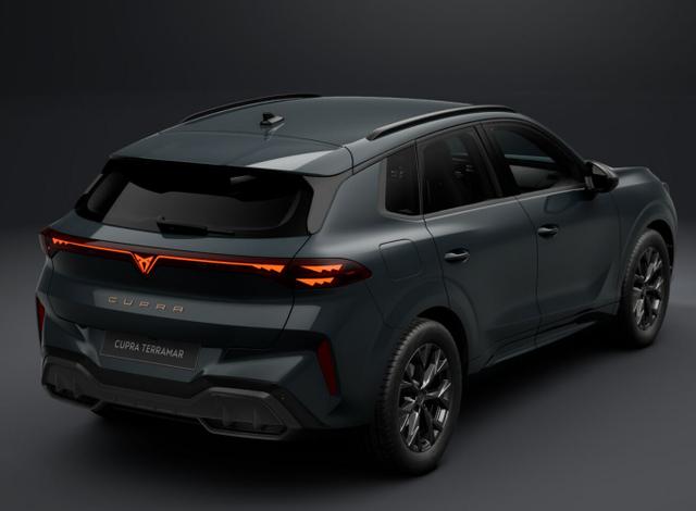Cupra Terramar DSG EdgeP SHZ eHk Kam ACC 18" PrivG Amb 