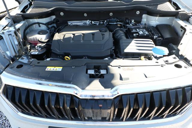 Skoda Karoq Selection DSG Selec AHK ACC Kam SideA SHZv/h Kessy 