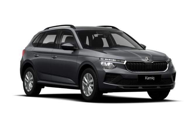 Skoda Kamiq Selection DSG Selec Kessy PDC SHZ SunS Kam 5J/100k 