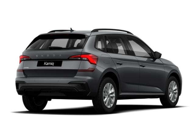 Skoda Kamiq Selection DSG Selec Kessy PDC SHZ SunS Kam 5J/100k 