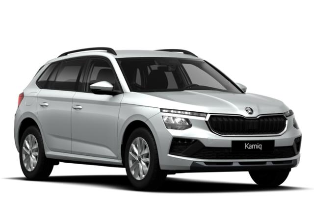 Skoda Kamiq Selection DSG Selec Kessy PDC SHZ SunS Kam 5J/100k 