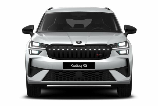 Skoda Kodiaq RS AHK Matrix DCC SHZhi Canton ACC elHeck 