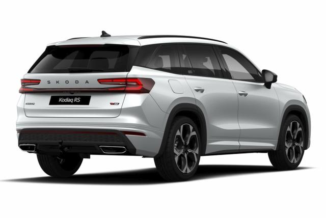 Skoda Kodiaq RS AHK Matrix DCC SHZhi Canton ACC elHeck 