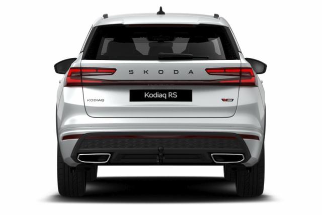 Skoda Kodiaq RS AHK Matrix DCC SHZhi Canton ACC elHeck 