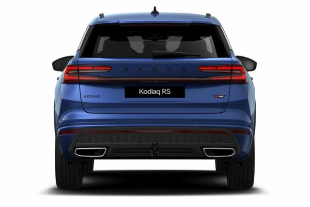 Skoda Kodiaq RS Pano AHK Matrix DCC SHZhi Canton ACC 