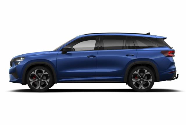Skoda Kodiaq RS Pano AHK Matrix DCC SHZhi Canton ACC 