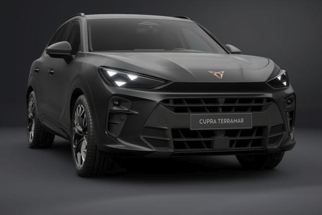 Cupra Terramar VZ 4D Matrix Nav AHK Sennh. 20Z eHk 