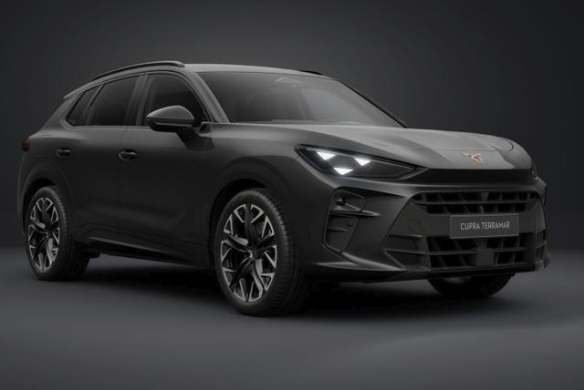 Cupra Terramar VZ 4D Matrix Nav AHK Sennh. 20Z eHk 