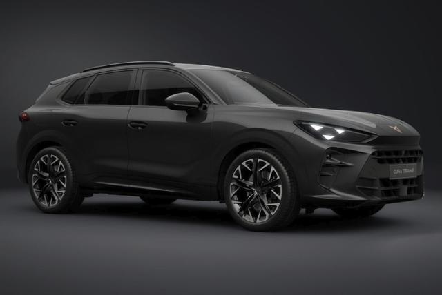 Cupra Terramar VZ 4D Matrix Nav AHK Sennh. 20Z eHk 