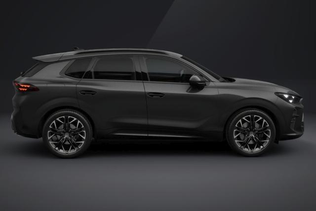 Cupra Terramar VZ 4D Matrix Nav AHK Sennh. 20Z eHk 