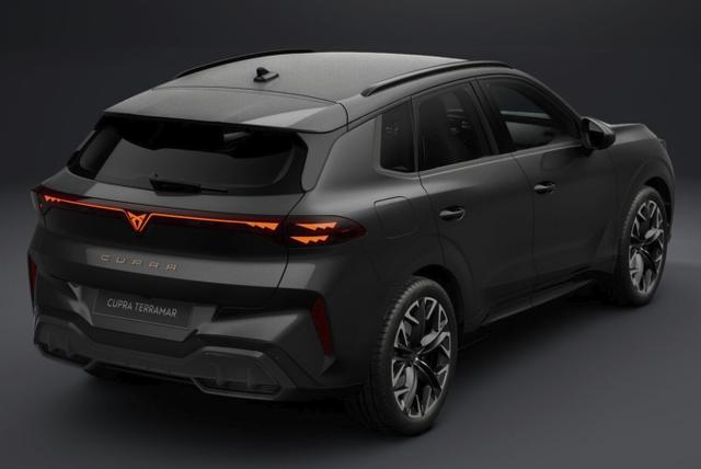 Cupra Terramar VZ 4D Matrix Nav AHK Sennh. 20Z eHk 