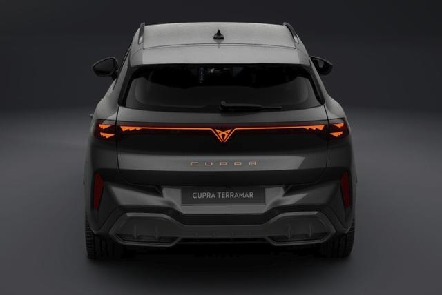 Cupra Terramar VZ 4D Matrix Nav AHK Sennh. 20Z eHk 