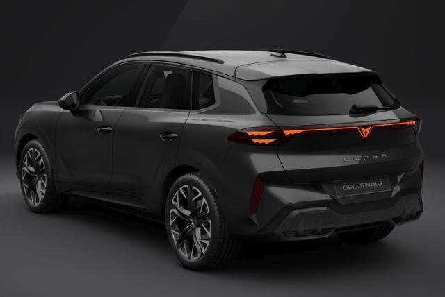 Cupra Terramar VZ 4D Matrix Nav AHK Sennh. 20Z eHk 