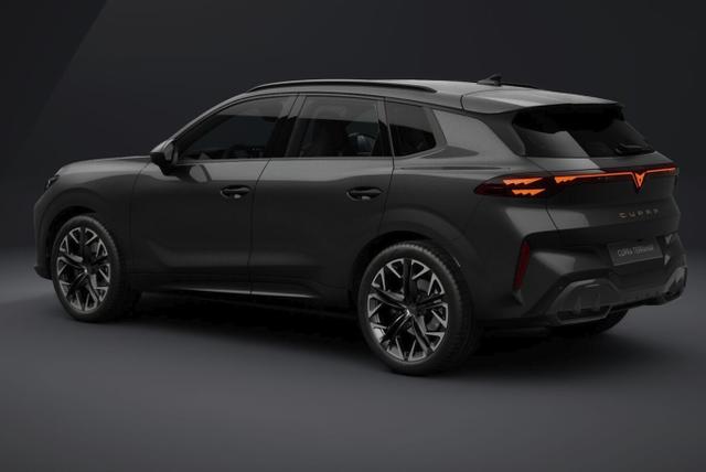 Cupra Terramar VZ 4D Matrix Nav AHK Sennh. 20Z eHk 