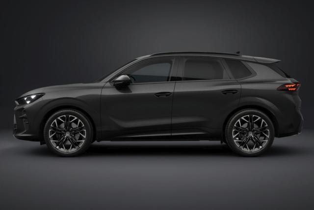 Cupra Terramar VZ 4D Matrix Nav AHK Sennh. 20Z eHk 