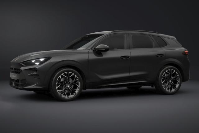 Cupra Terramar VZ 4D Matrix Nav AHK Sennh. 20Z eHk 