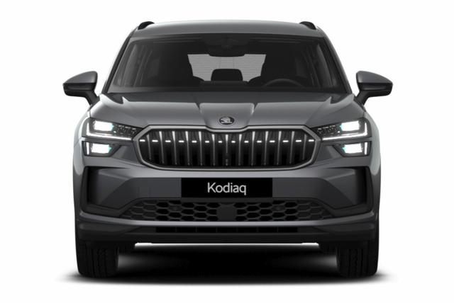 Kodiaq Selection Selec 7S AHK Matrix Nav Kessy ACC SunS 