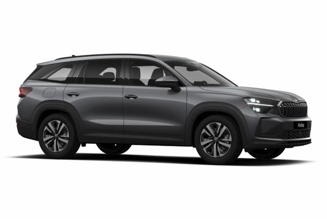 Kodiaq Selection Selec 7S AHK Matrix Nav Kessy ACC SunS 