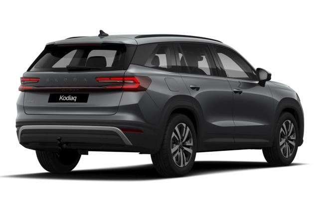 Kodiaq Selection Selec 7S AHK Matrix Nav Kessy ACC SunS 