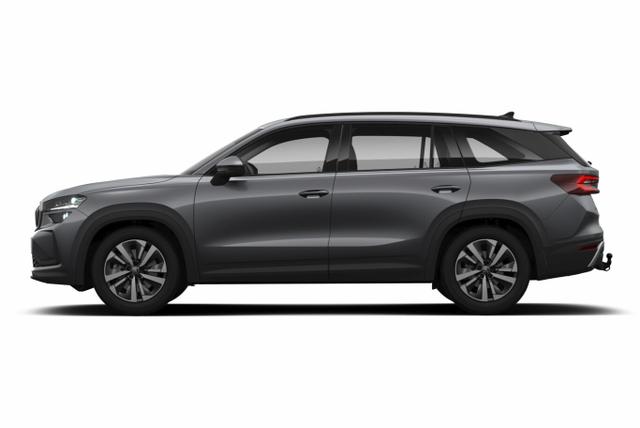 Kodiaq Selection Selec 7S AHK Matrix Nav Kessy ACC SunS 