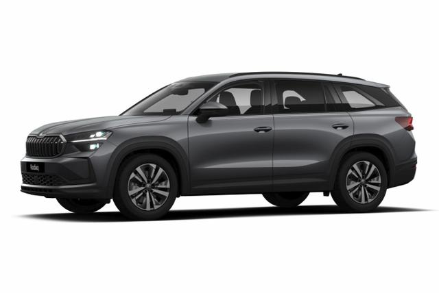 Kodiaq Selection Selec 7S AHK Matrix Nav Kessy ACC SunS 