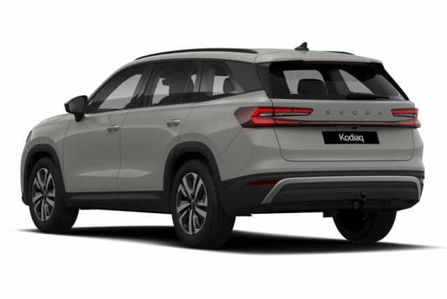 Kodiaq Selection Selec AHK Matrix Nav Kessy ACC SunS SHZ 