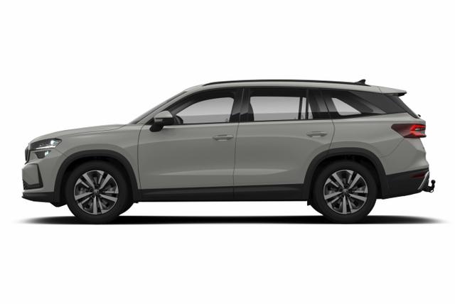 Kodiaq Selection Selec AHK Matrix Nav Kessy ACC SunS SHZ 