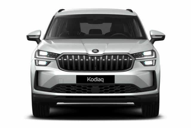 Skoda Kodiaq Selection Selec Leder AHK Matrix Nav Kessy ACC SunS 