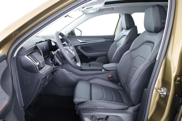 Skoda Kodiaq 2.0 TDI 142 kW 4x4 Selection DSG Selection, HUD, Standheizung, AHK, Leder, 20-Zoll, Pano 