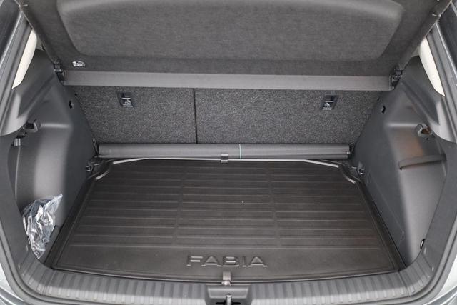 Skoda Fabia Selection 1.0 TSI DSG 130 Jahre, Kamera, Side, Winter, Ladeboden, 5-J Garantie 