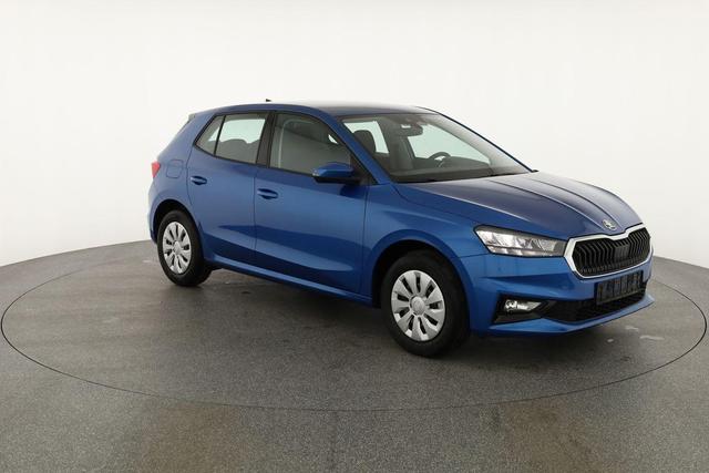 Skoda Fabia Selection 1.0 TSI Selection, Tempomat, Park, Winterpaket, SmartLink, 4-J Garantie 