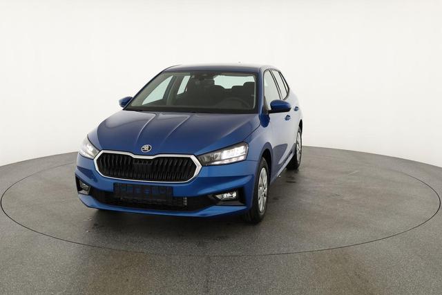 Skoda Fabia Selection 1.0 TSI Selection, Tempomat, Park, Winterpaket, SmartLink, 4-J Garantie 