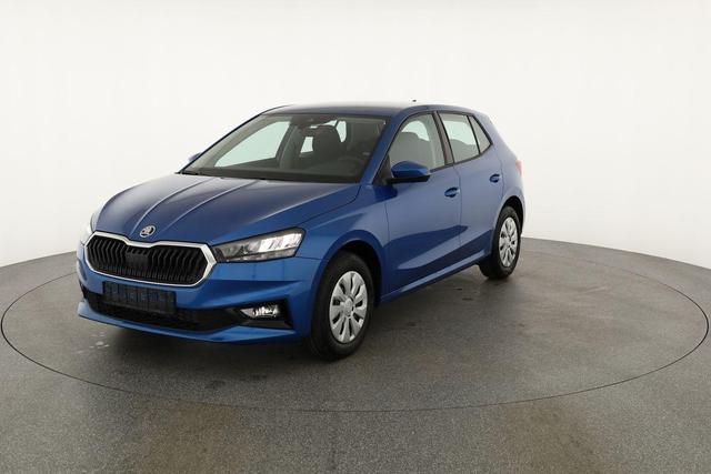 Skoda Fabia Selection 1.0 TSI Selection, Tempomat, Park, Winterpaket, SmartLink, 4-J Garantie 