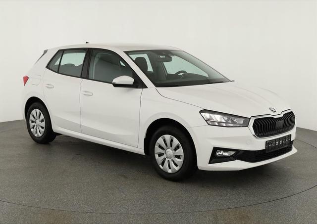 Skoda Fabia Selection 1.0 TSI Selection, Tempomat, Park, Winterpaket, SmartLink, 4-J Garantie 