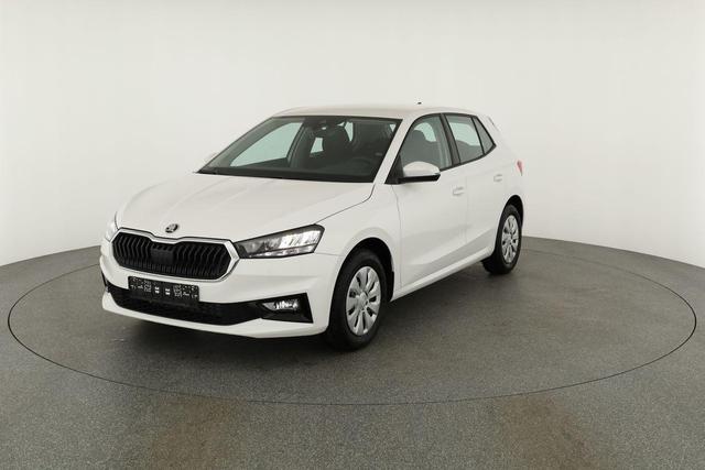 Skoda Fabia Selection 1.0 TSI Selection, Tempomat, Park, Winterpaket, SmartLink, 4-J Garantie 