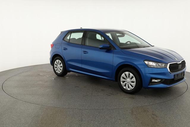 Skoda Fabia Selection 1.0 TSI Selection, Ladeboden, Park, Winterpaket, SmartLink, 4-J Garantie 