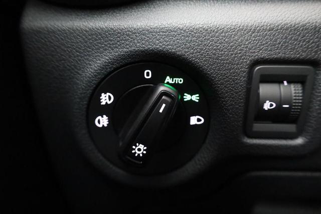 Skoda Fabia Selection 1.0 TSI Selection, Tempomat, Ladeboden, Park, Winterpaket, SmartLink, 4-J Garantie 